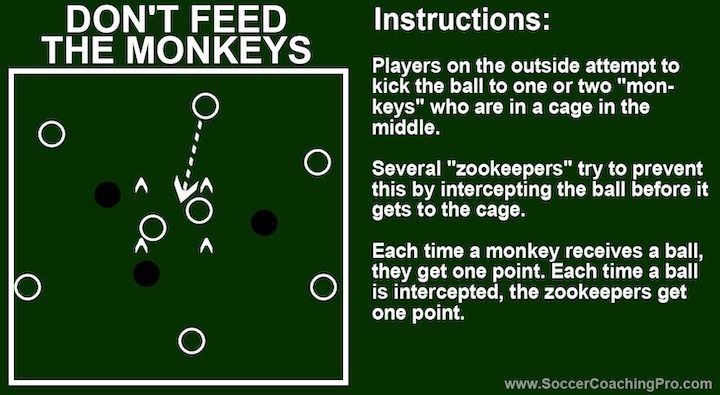 monkeys-soccer-game