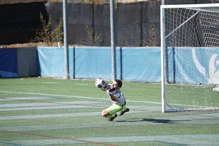 soccer ball gets past the goalie for a score during a match